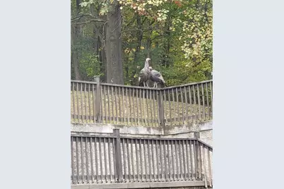 526 E River Rd, Mahoning Township, PA 16116 - Photo 37