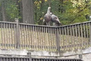 526 E River Rd, Mahoning Township, PA 16116 - Photo 37