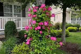 1301 Shinnecock Ct, Adams Township, PA 16046 - Photo 47