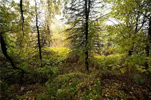 1253 Lakewood Ave, Elliott, PA 15220 - Photo 25