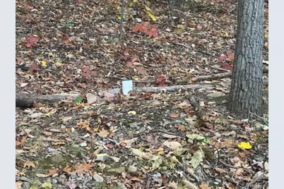 310 Highland Dr, California, PA 15417 - Photo 5