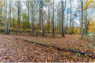 Tbd Bortz Mine Road, Point Marion, PA 15451 - Photo 15