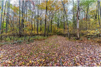 Tbd Bortz Mine Road, Point Marion, PA 15451 - Photo 11