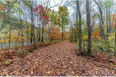 Tbd Bortz Mine Road, Point Marion, PA 15451 - Photo 5