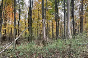 10019 Dingman Rd, Guys Mills, PA 16327 - Photo 49