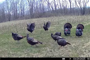 10019 Dingman Rd, Guys Mills, PA 16327 - Photo 43