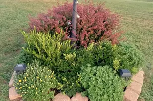 1121 Williams Dr, Washington Township, PA 15012 - Photo 35