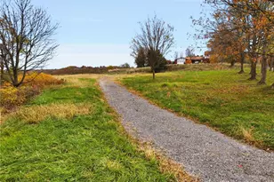 329 Dorseyville, Pittsburgh, PA 15215 - Photo 3