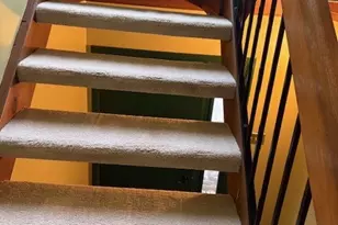 264 Elm Ct, Ross Twp, PA 15237 - Photo 11