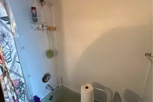 1732 Potomac Ave, Pittsburgh, PA 15216 - Photo 19