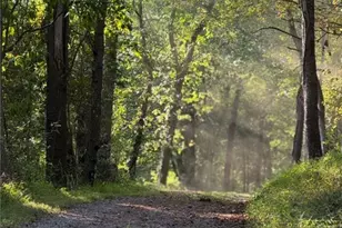 123 Baylee Ln, South Bend Township, PA 15618 - Photo 3