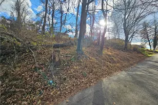 Lot 10-11 Arch St, Monessen, PA 15062 - Photo 1