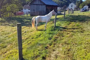 327 Sugar Run Rd, Franklin Township, PA 15370 - Photo 41