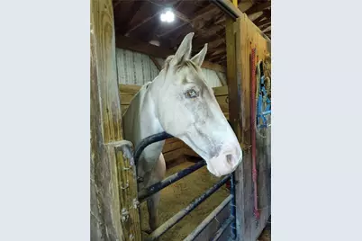 327 Sugar Run Road, Franklin Township, PA 15370 - Photo 43