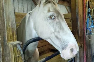 327 Sugar Run Rd, Franklin Township, PA 15370 - Photo 43