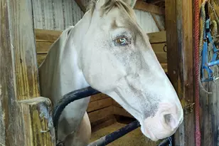 327 Sugar Run Rd, Franklin Township, PA 15370 - Photo 43