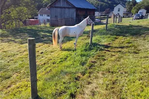 327 Sugar Run Rd, Franklin Township, PA 15370 - Photo 41