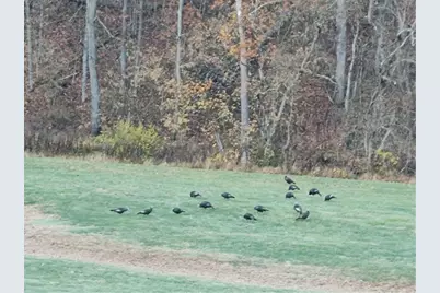 195 W & W Railroad Road, Washingtn-Ruff Creek, PA 15364 - Photo 15