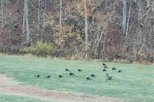 195 W & W Railroad Rd, Washingtn-Ruff Creek, PA 15364 - Photo 15