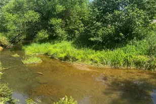 4965 Juneau Rd, Punxsutawney Area School District, PA 15767 - Photo 15