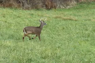 414 State Route 231, Donegal, PA 15323 - Photo 39