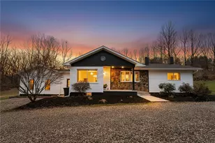 733 Metz Rd, White Township, PA 15701 - Photo 1