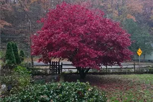 3318 Spring Garden Rd, Pittsburgh, PA 15212 - Photo 21