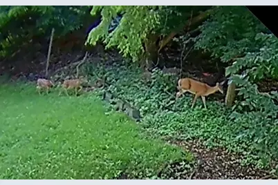 2460 Colorado Way, Pittsburgh, PA 15212 - Photo 37