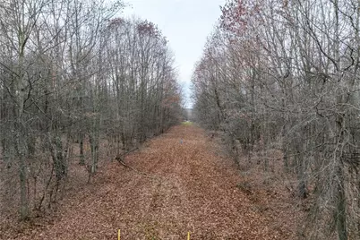 0 Kitch Rd At Linn Tyro Rd, Otter Creek Township, PA 16125 - Photo 11