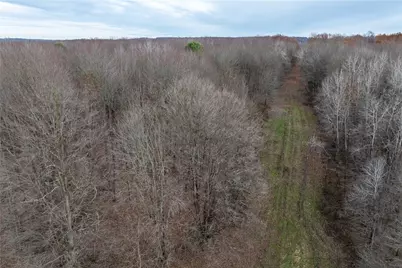 0 Kitch Rd At Linn Tyro Rd, Otter Creek Township, PA 16125 - Photo 3