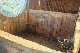 528 State Rte 1035, Cowanshanock Township, PA 16201 - Photo 37