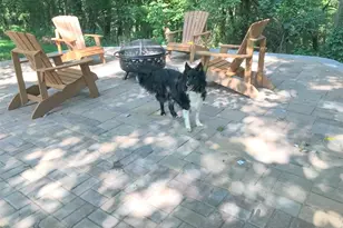 3933 Hardt Dr, Richland, PA 15044 - Photo 13