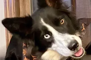 3933 Hardt Dr, Richland, PA 15044 - Photo 15