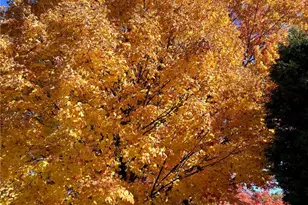 3933 Hardt Dr, Richland, PA 15044 - Photo 49