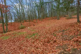 1012 Norton Dr, Mars, PA 16046 - Photo 45