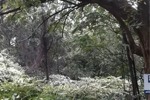 0 Hartford St, Pittsburgh, PA 15203 - Photo 25