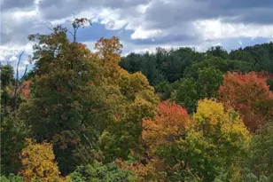 8010 Maureen Dr, Cranberry Township, PA 16066 - Photo 45