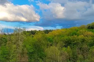 8010 Maureen Dr, Cranberry Township, PA 16066 - Photo 47