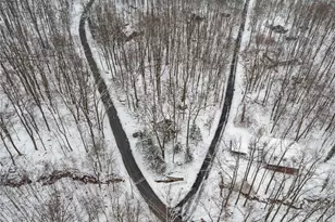 173 Snowshoe Rd, Bullskin Township, PA 15610 - Photo 33