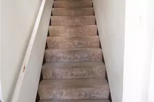 238 Fleet St, Braddock, PA 15104 - Photo 3