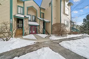 8011 Meadowridge Dr, Seven Springs, PA 15622 - Photo 41