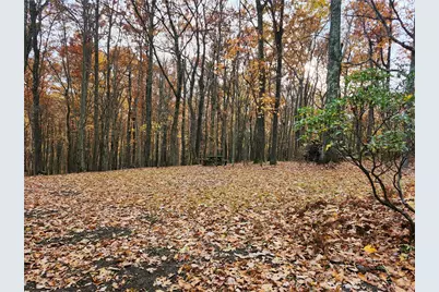 248 Greenbrier Rd, Bullskin Township, PA 15610 - Photo 33