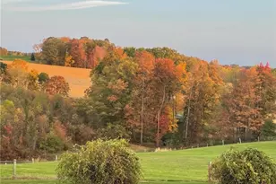 652 Indiantown Rd, Milford Township, PA 15501 - Photo 23