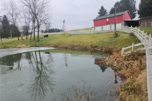 235 Hinchberger Rd, Summit Township, PA 16002 - Photo 49