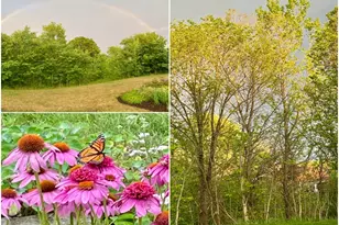 1004 Park Pl Ln, Cecil, PA 15317 - Photo 37