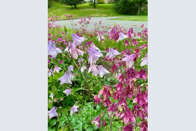 1004 Park Place Ln #1004, Cecil, PA 15317 - Photo 7