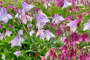 1004 Park Pl Ln, Cecil, PA 15317 - Photo 7