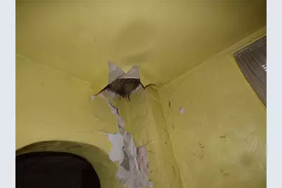 320 Lorenz Ave, Elliott, PA 15220 - Photo 21