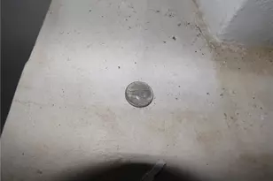 320 Lorenz Ave, Elliott, PA 15220 - Photo 29