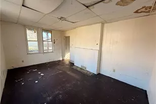 27 Grape St, Pittsburgh, PA 15210 - Photo 13